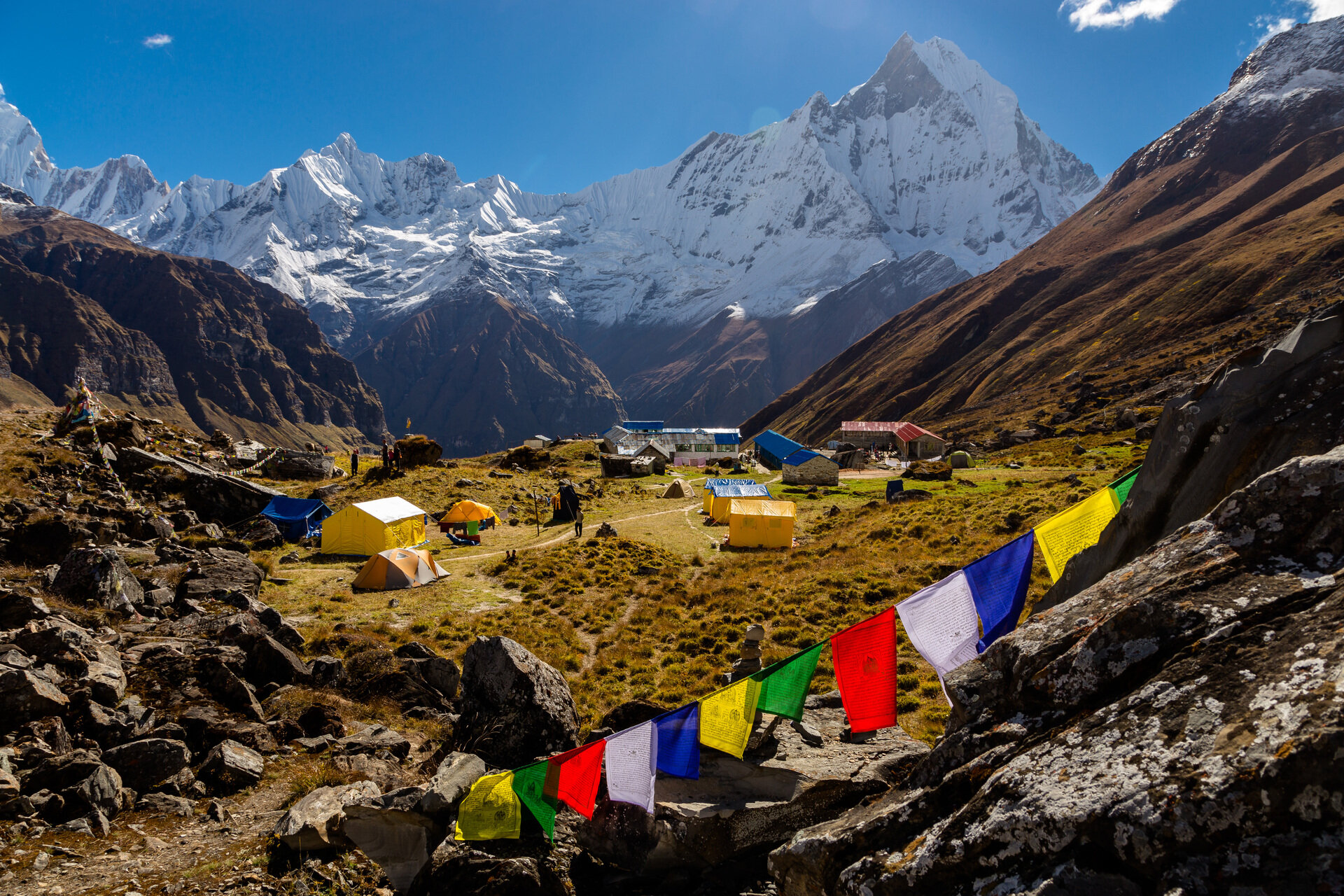 immagine di copertina per Trekking Annapurna