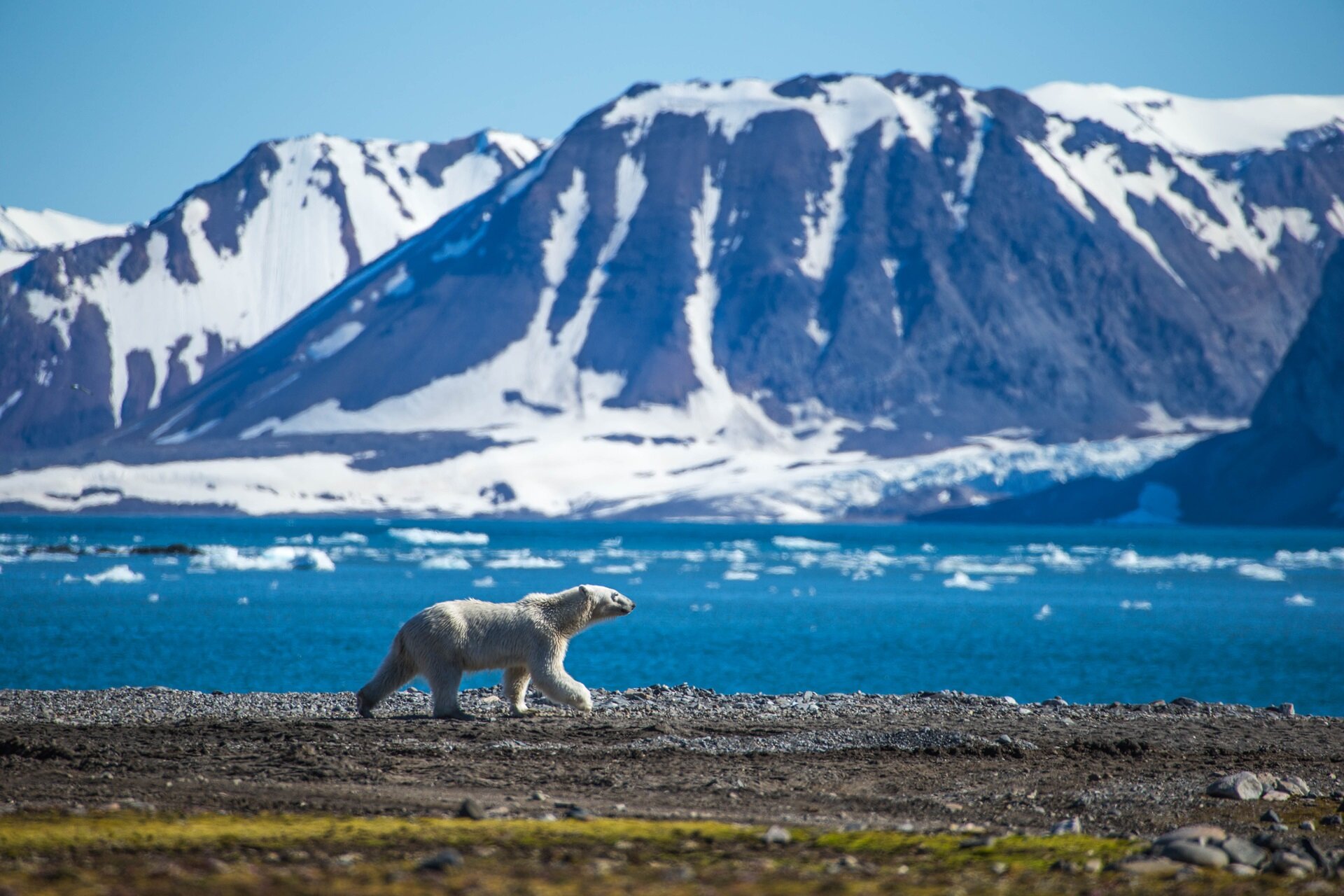 immagine di copertina per Isole Svalbard, Viaggio nell’artico