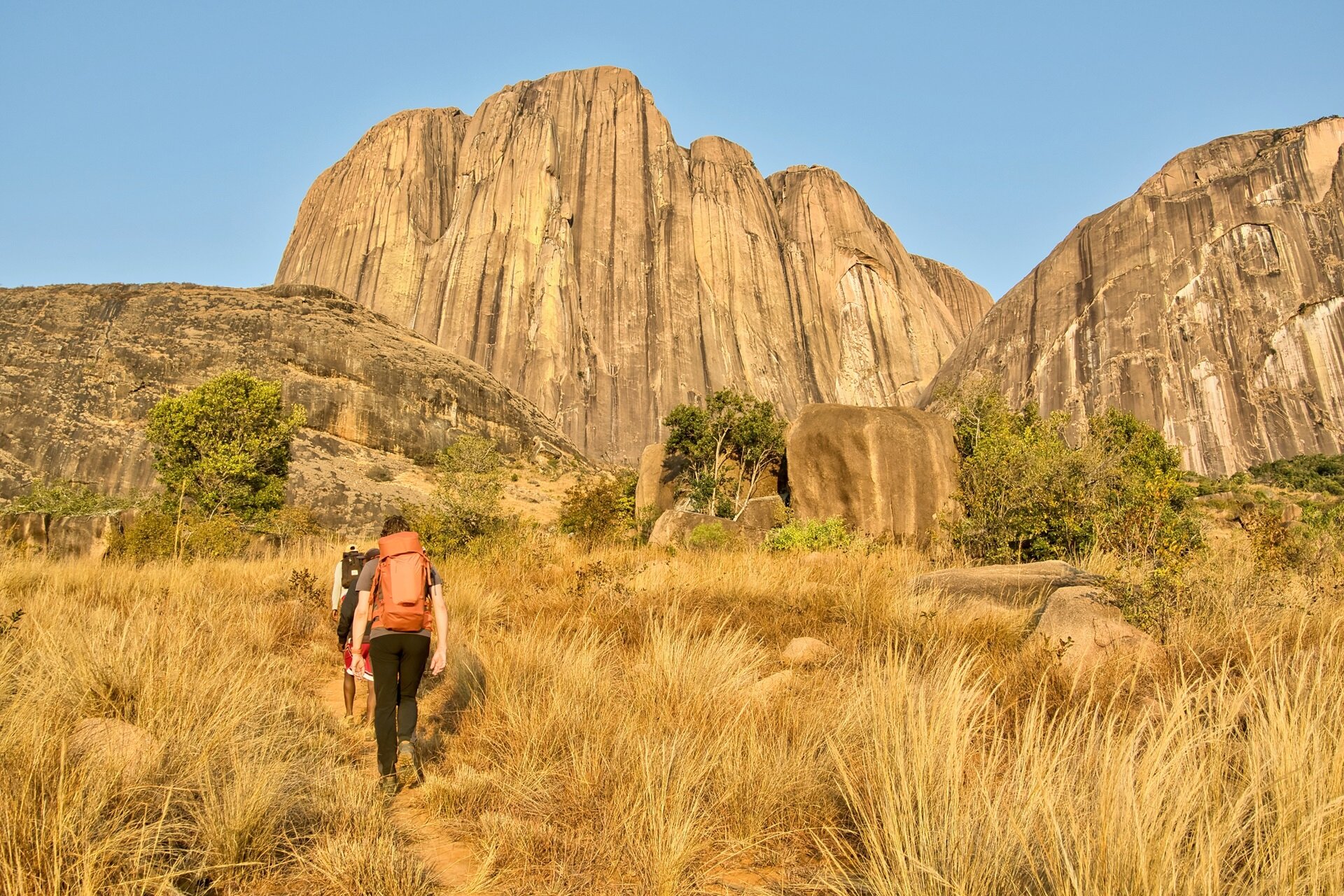 immagine di copertina per Madagascar Trekking