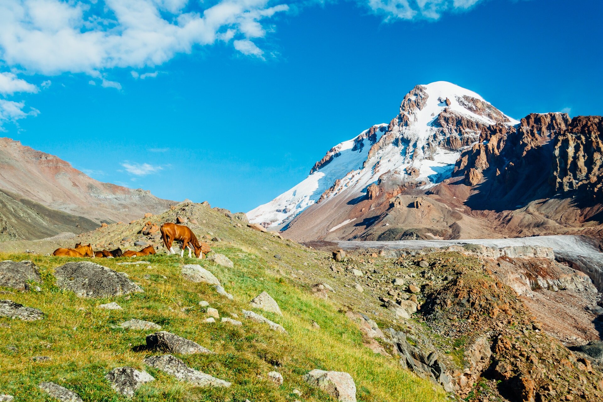 immagine di copertina per Salita al Monte Kazbek